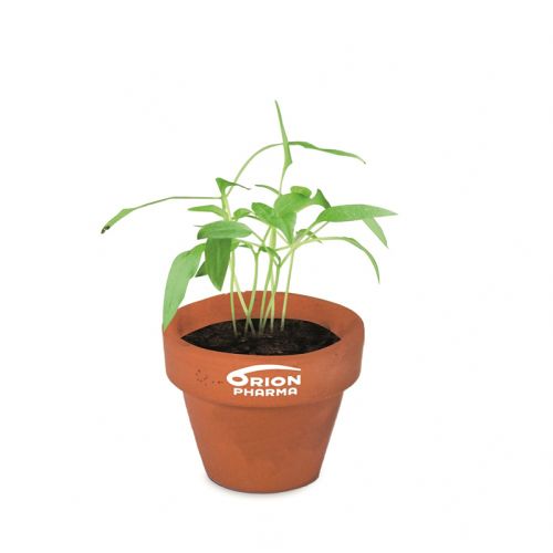 Mini Flowerpot with seeds - Image 3